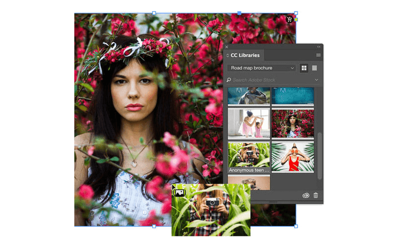 Adobe Stock creative graphic